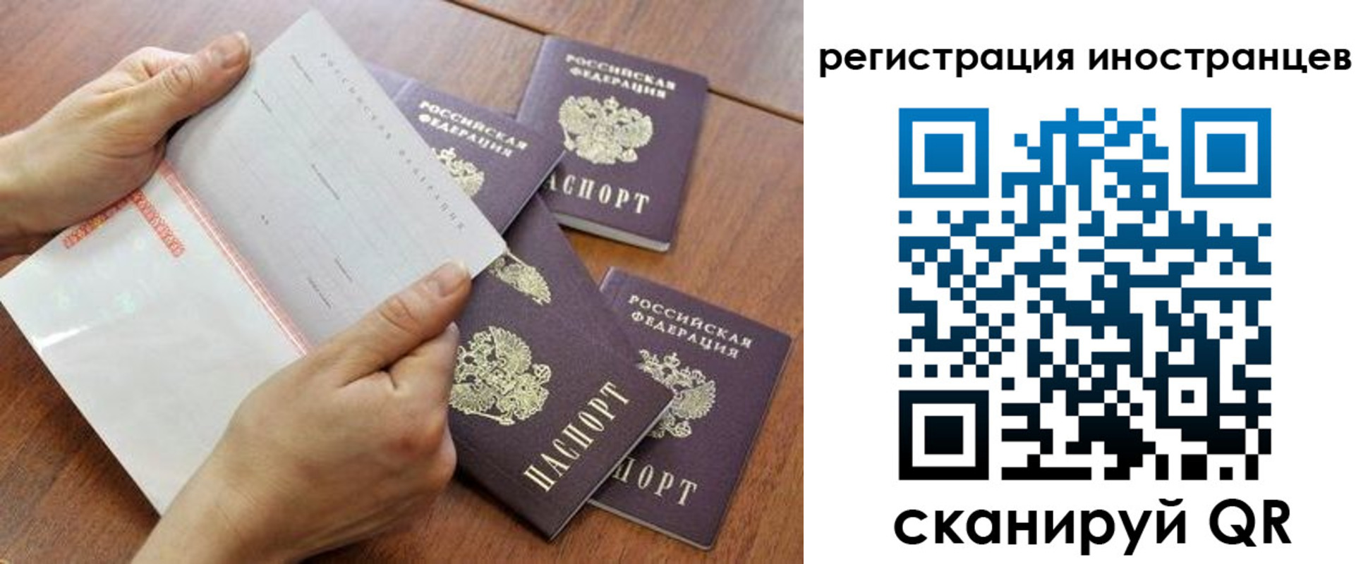 прописка поиск в Десногорске